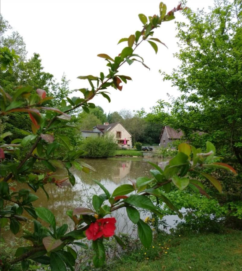 24H Le Mans - Les Haies Gite, Near Le Mans Circuit Villa Coulans-sur-Gée Exterior photo